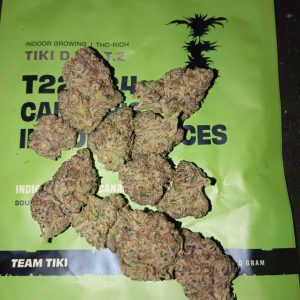 טיקי ד.ר.נ.ט.ז (Tiki D.R.N.T.Z) – אינדיקה T22/C4