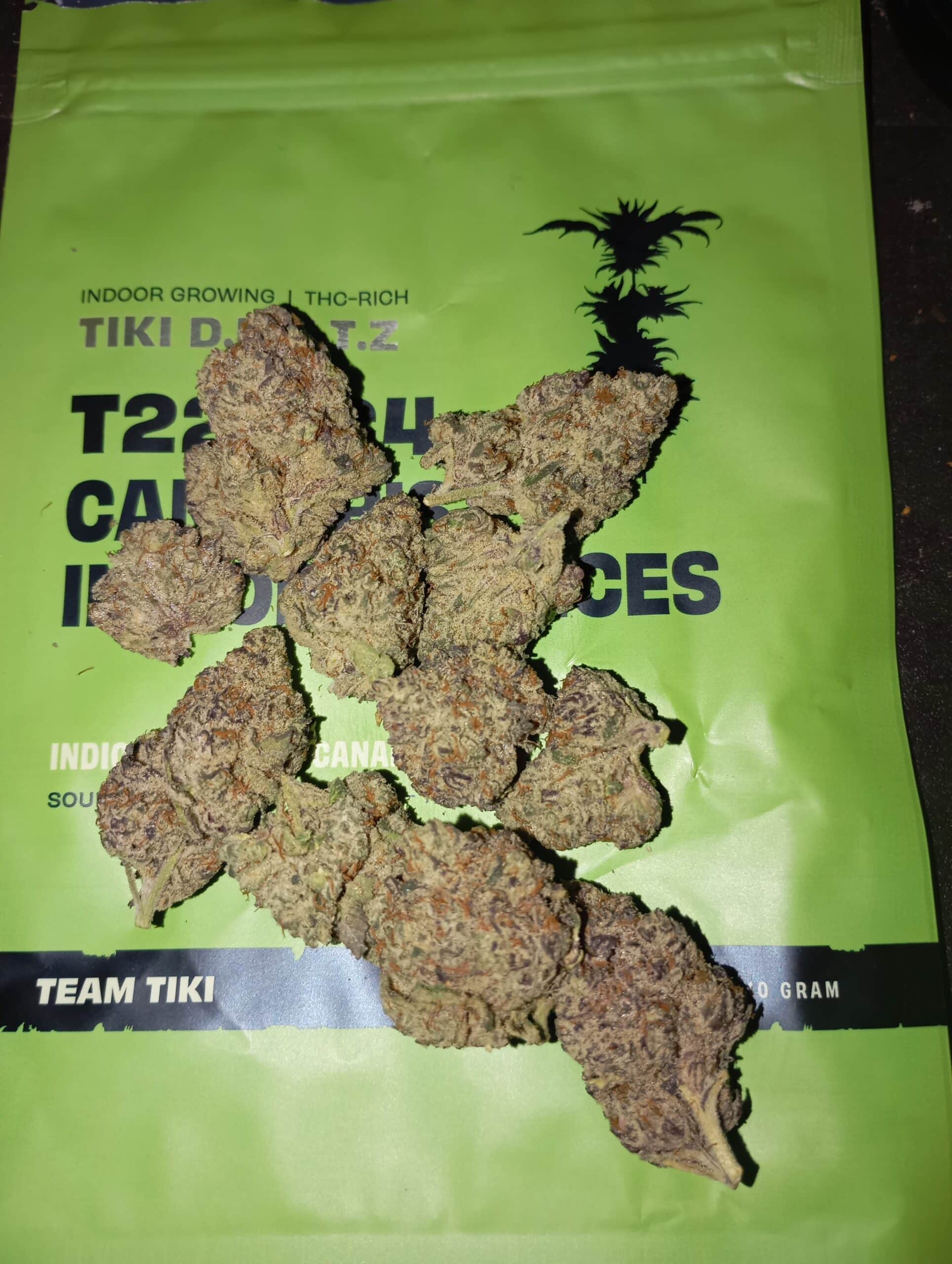 טיקי ד.ר.נ.ט.ז (Tiki D.R.N.T.Z) – אינדיקה T22/C4