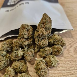 טן טווין (Ten Twin) – אינדיקה T10/C10