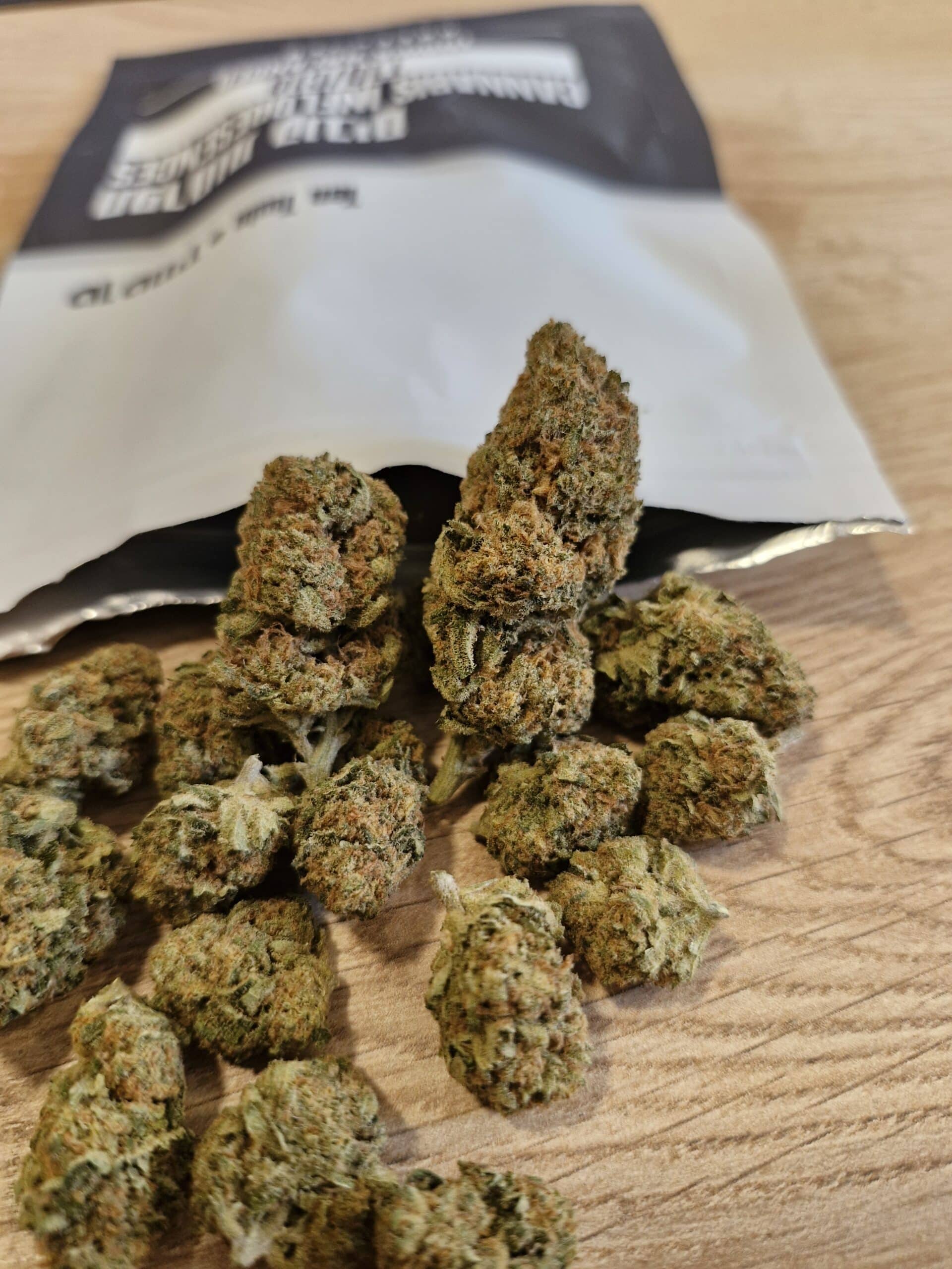 טן טווין (Ten Twin) – אינדיקה T10/C10