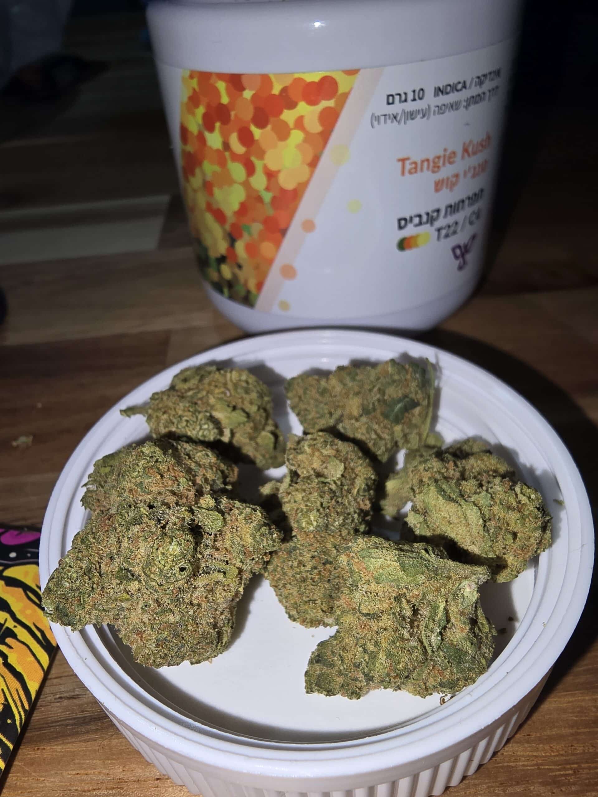 טנג'י קוש (Tangie Kush) – אינדיקה T22/C4