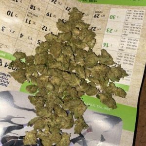 טרה (Terra) – היבריד T22/C4