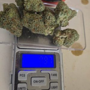 טריפל איקס (Triple X) – אינדיקה T22/C4