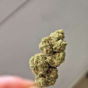 טרנקילה (Tranquila) – היבריד T1/C22