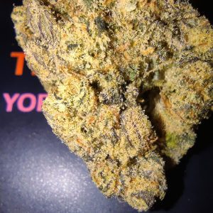 יופו (Yopo) – אינדיקה T22/C4