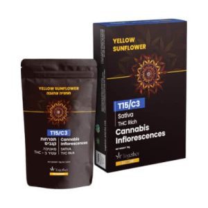 ילו סאנפלאוור (Yellow Sunflower) – סאטיבה T15/C3 ילו סאנפלאוור (Yellow Sunflower) – סאטיבה T15/C3