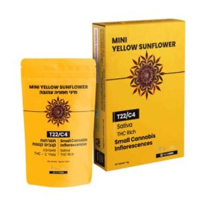 ילו סאנפלאוור מיני (Yellow Sunflower Mini) – סאטיבה T22/C4