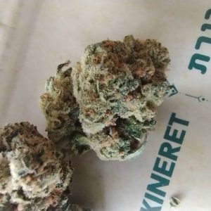 כנרת (Kineret) – אינדיקה T22/C4