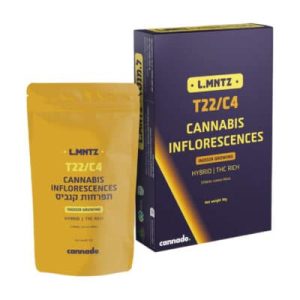 ל.מנטז (L.MNTZ) – היבריד T22/C4 ל.מנטז (L.MNTZ) – היבריד T22/C4