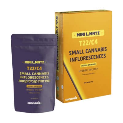 ל.מנטז מיני (L.MNTZ Mini) – היבריד T22/C4