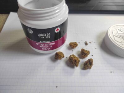 לארי אוג'י (Larry OG) – אינדיקה T22/C4