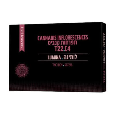 לומינה (Lumina) – סאטיבה T22/C4