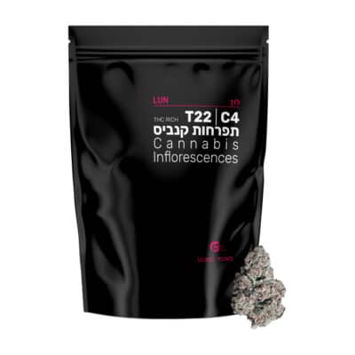 לון (Lun) – אינדיקה T22/C4