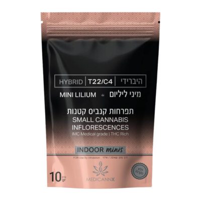 ליליום מיני (Lilium Mini) – היבריד T22/C4