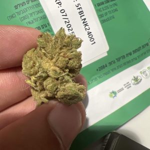 לינק (Link) – אינדיקה T22/C4