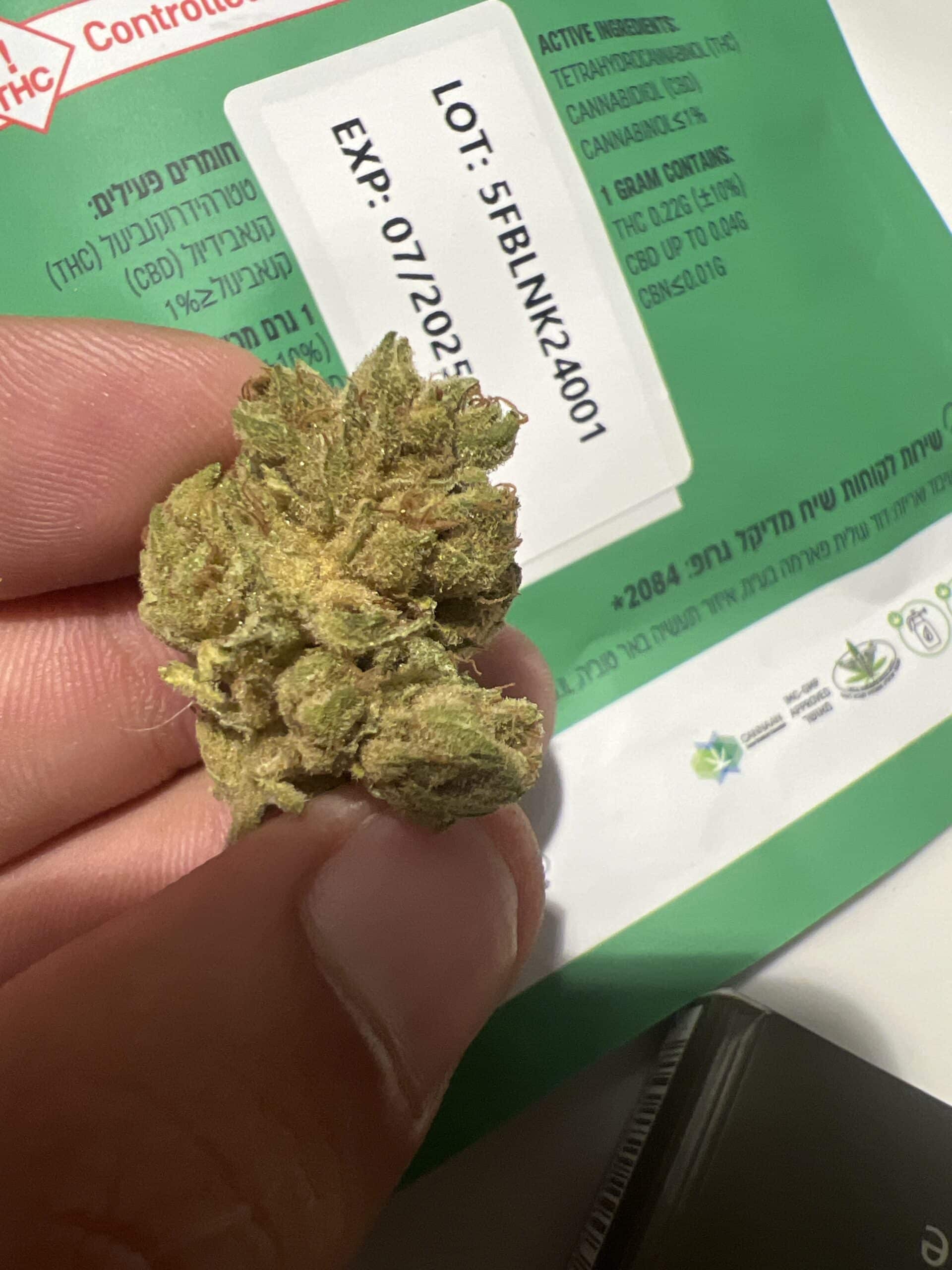 לינק (Link) – אינדיקה T22/C4