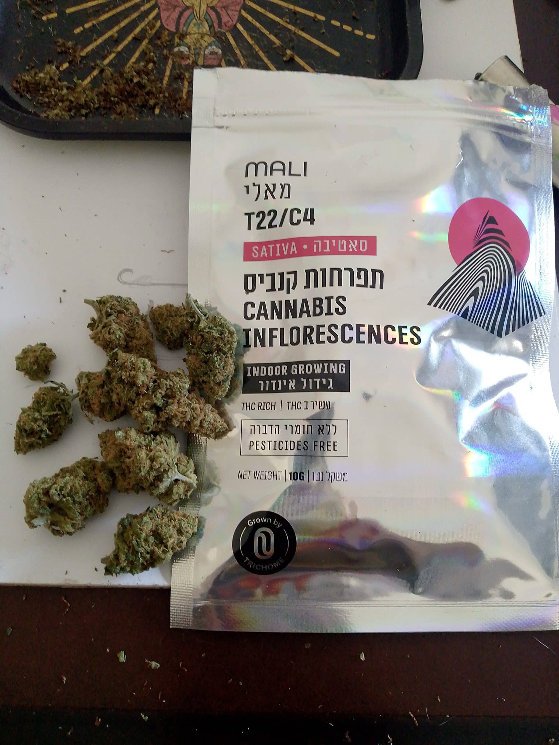 מאלי (Mali) – סאטיבה T22/C4