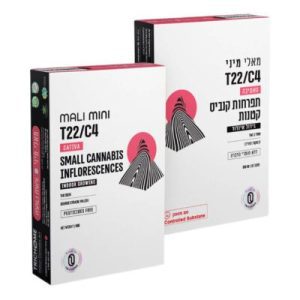 מאלי מיני (‎Mali Mini) – סאטיבה T22/C4