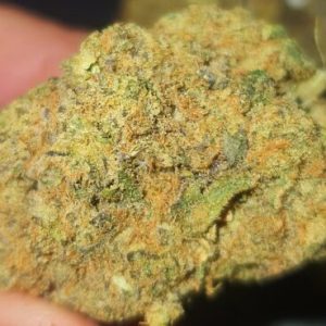 מאק.די (MAC.D) – אינדיקה T22/C4