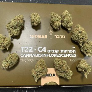 מדבר (Midbar) – MBA – סאטיבה T22/C4