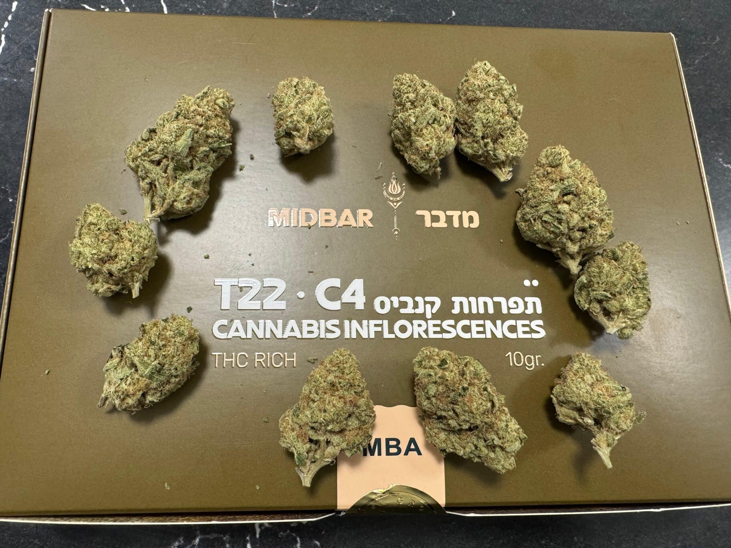 מדבר (Midbar) – MBA – סאטיבה T22/C4