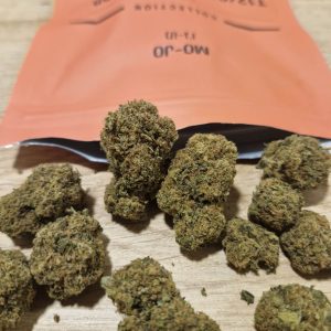 מו-ג'ו (Mo-Jo) – היבריד T12/C12