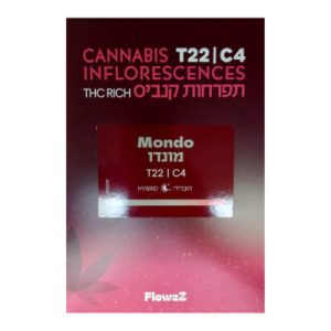 מונדו (Mondo) – היבריד T22/C4