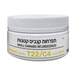 מיאמי מיניז (Miami Miniz) – סאטיבה T22/C4