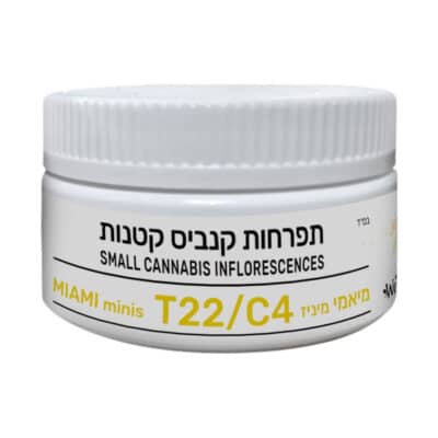 מיאמי מיניז (Miami Miniz) – סאטיבה T22/C4