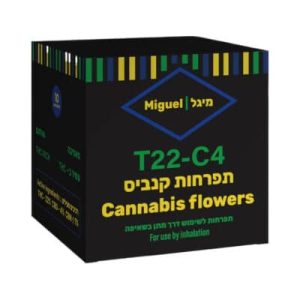 מיגל (Miguel) – סאטיבה T22/C4