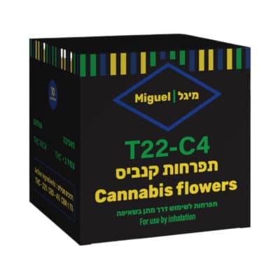 מיגל (Miguel) – סאטיבה T22/C4