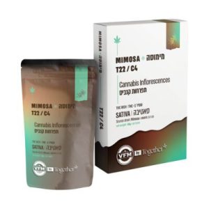 מימוסה (Mimosa) – סאטיבה T22/C4