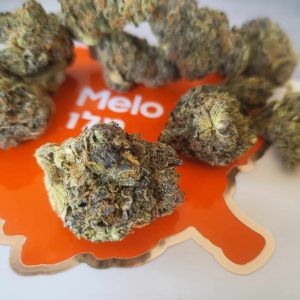 מלו (Melo) – היבריד T22/C4