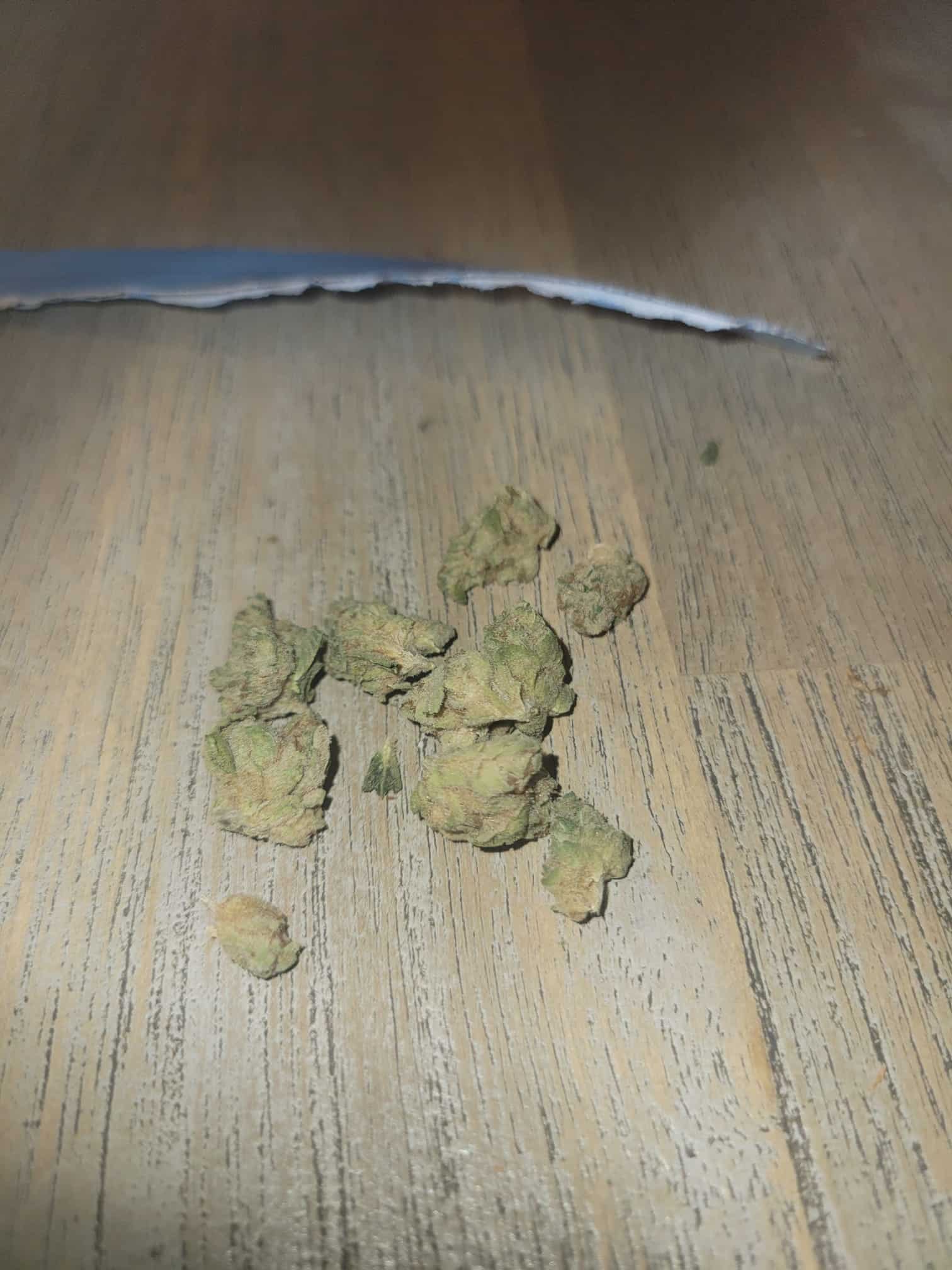 מת'או (Matheo) – סאטיבה T22/C4