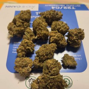 נאונייט (Neonight) – אינדיקה T22/C4