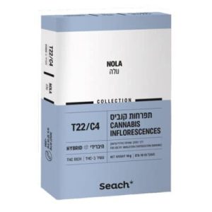 נולה (Nola) – היבריד T22/C4 נולה (Nola) – היבריד T22/C4