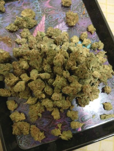 נימבוס מיני (Nimbus Mini) – אינדיקה T22/C4