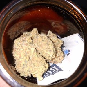 ניקס (Nyx) – היבריד T22/C4