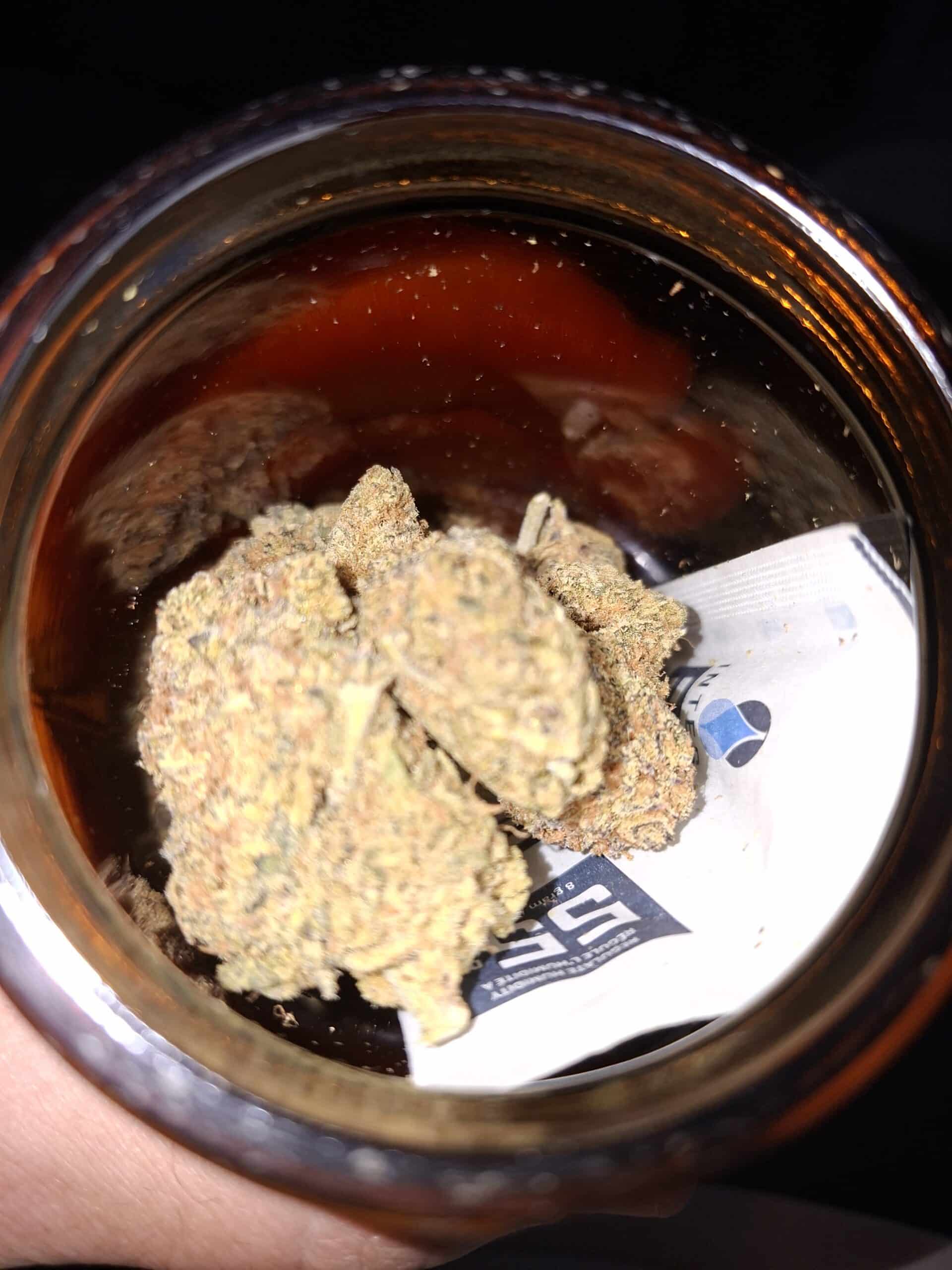 ניקס (Nyx) – היבריד T22/C4