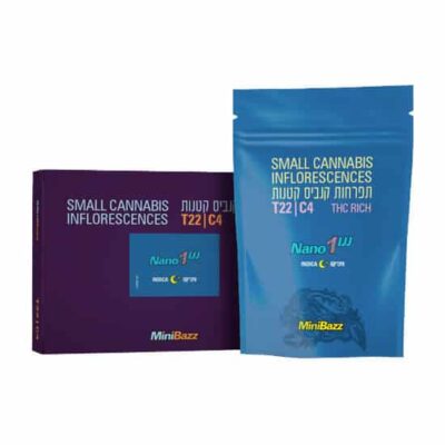 ננו 1 (Nano 1) – אינדיקה T22/C4