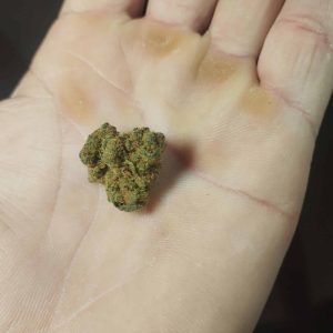 ננו 4 (Nano 4) – היבריד T22/C4