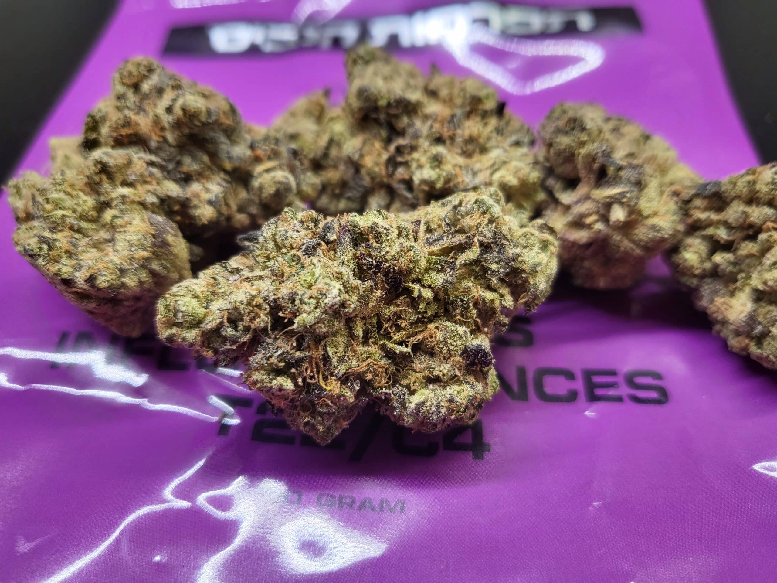 סאדז (Sudz) – היבריד T22/C4