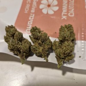 סאנווק (Sunwalk) – סאטיבה T22/C4