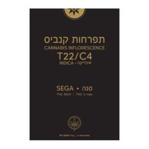 סגה (Sega) – אינדיקה T22/C4