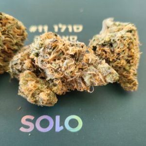 סולו #11 (Solo #11) – סאטיבה T22/C4