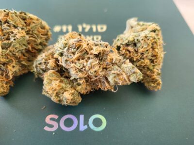 סולו #11 (Solo #11) – סאטיבה T22/C4