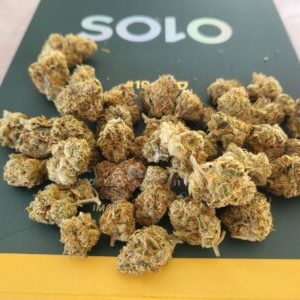 סולו #19 מיני (Solo #19 Mini) – היבריד T22/C4