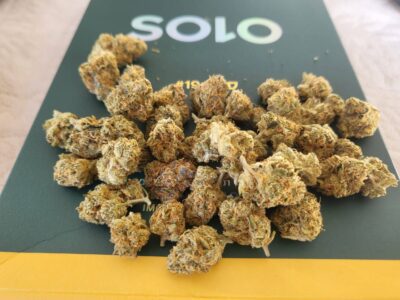 סולו #19 מיני (Solo #19 Mini) – היבריד T22/C4