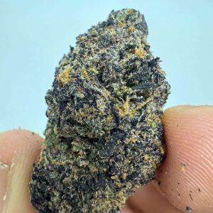 סולו א.ק.א (SOLO A.K.A) – אינדיקה T22/C4