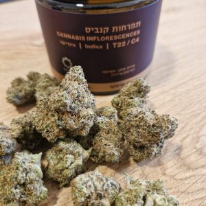 סולו טריניטי (SOLO Trinity) – אינדיקה T22/C4